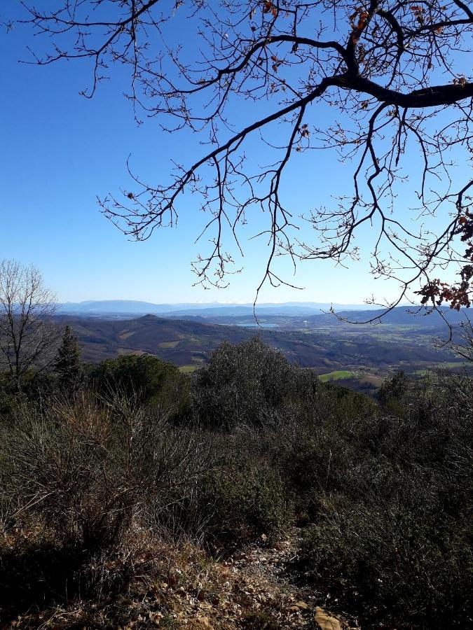 Il Vecchio Frantoio Villa Panicale Kültér fotó